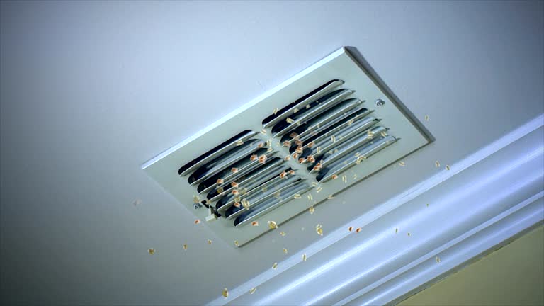 Best Local Air Duct Cleaning Services  in Poland, OH